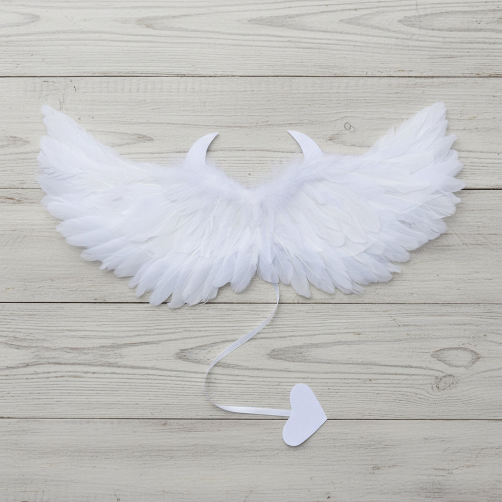 White & Black Feather Angel Wings – Cosplay & Party Props